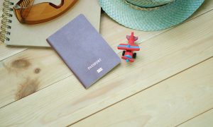 Yurtdışında Pasaportunuzu Kaybederseniz Ne Yapmalısınız?