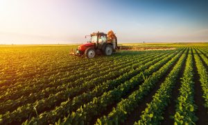 Tarımda Gelir Kaybı Riskini Ortadan Kaldırın
